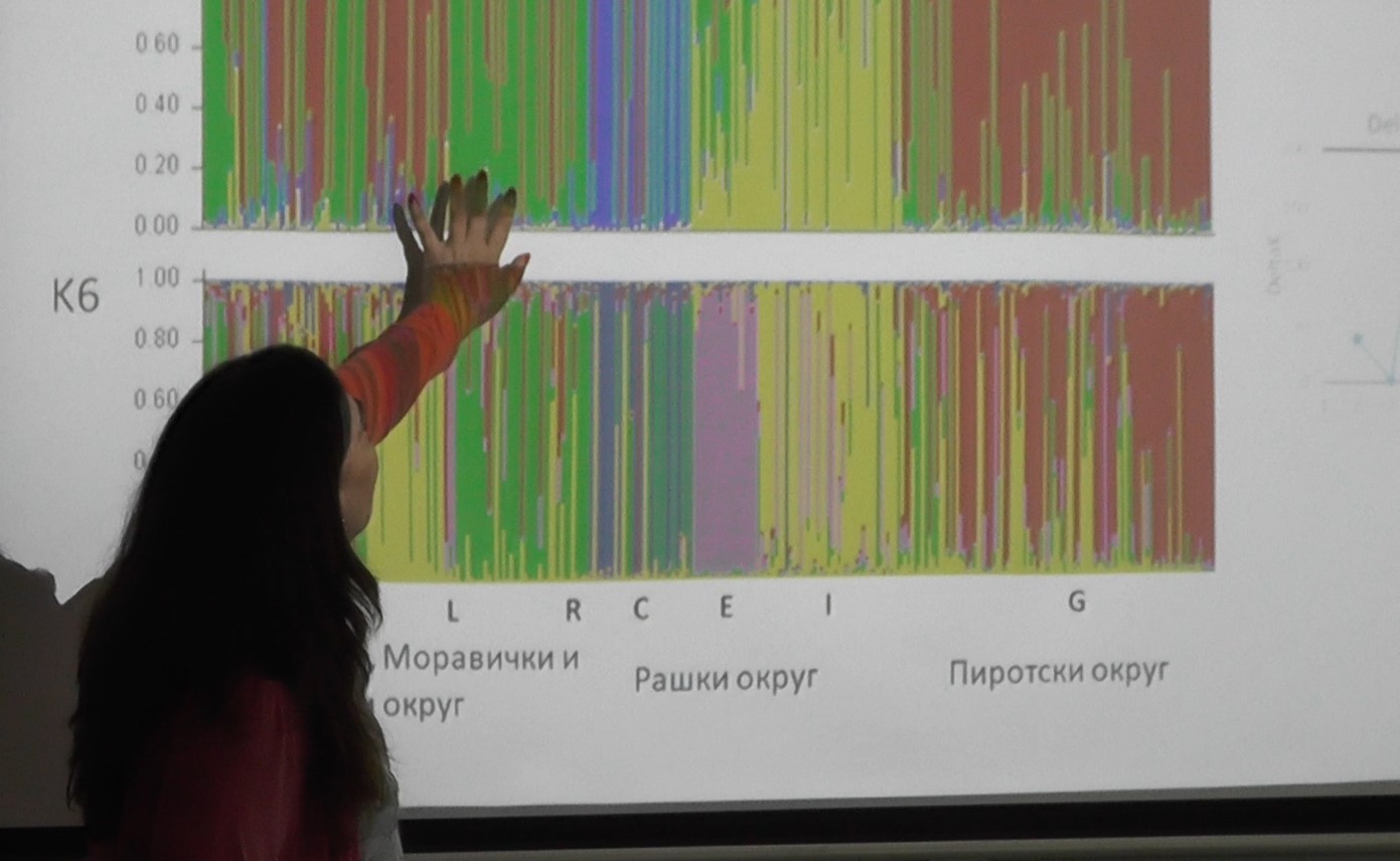 Одржано предавање на тему очувања генетичких ресурса код свиња и говеда